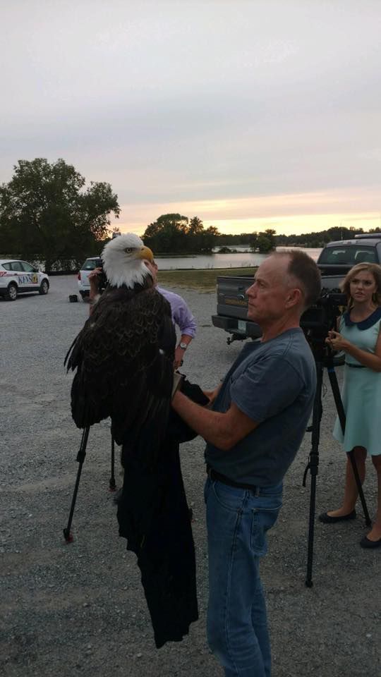 Eagle rescue 1.jpg